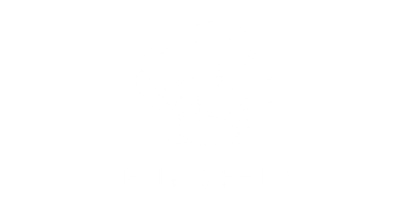 Jelly Shells